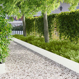 Vidaxl gazonrand 30 st 100 x 18 cm staal wit