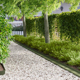 Vidaxl gazonrand 30 st 100 x 10 x 8 cm staal olijfgroen