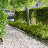Vidaxl gazonrand 10 st 100 x 10 x 8 cm staal zilverkleurig