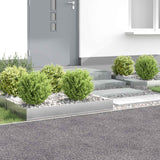 Vidaxl gazonrand 4 st 100 x 60 x 20 cm staal zilverkleurig