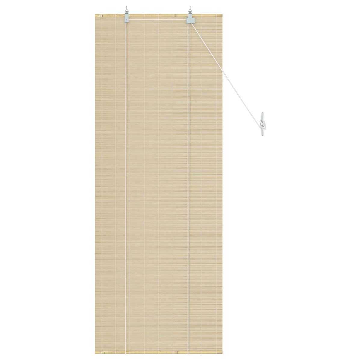 Vidaxl rolgordijn naturel 60 x 160 cm bamboe