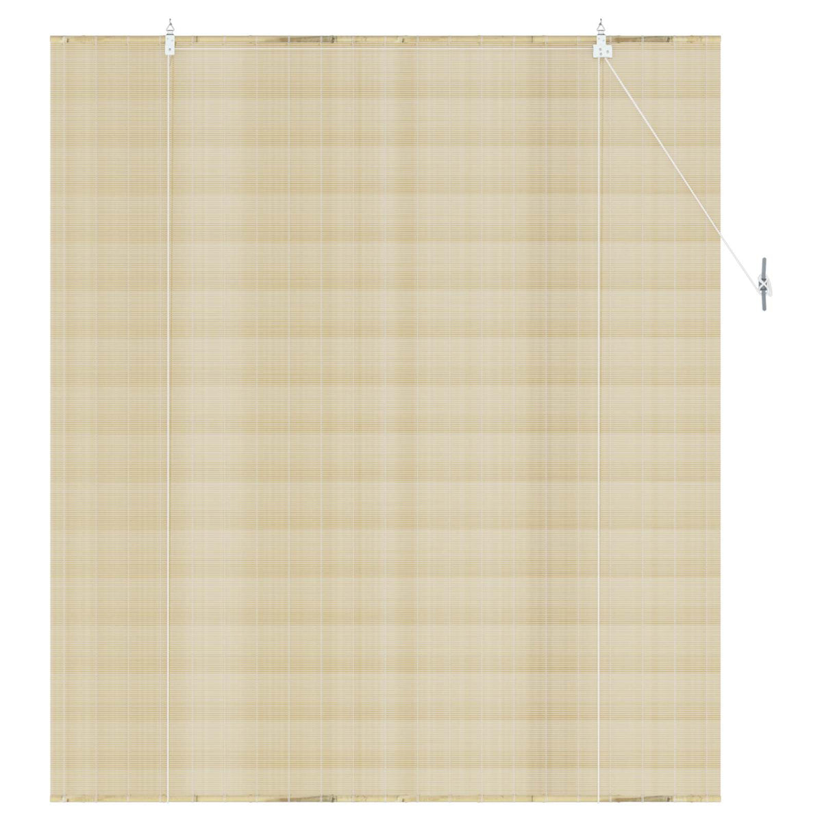 Vidaxl rolgordijn naturel 160 x 160 cm bamboe