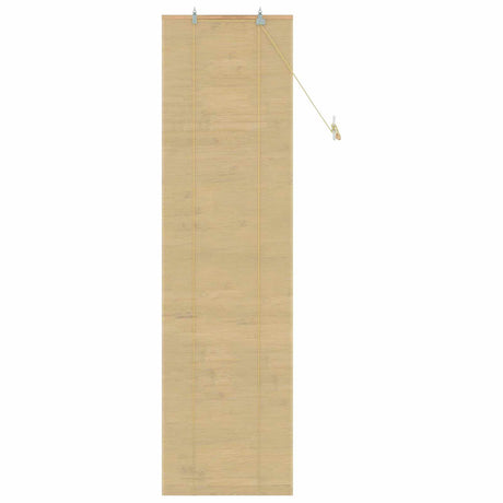 Vidaxl rolgordijn naturel 70 x 220 cm bamboe