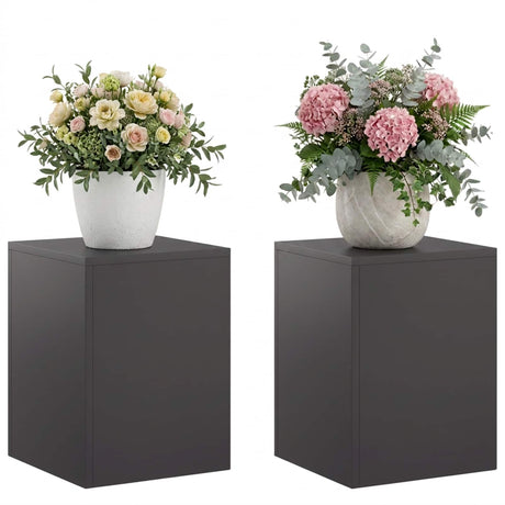 Vidaxl plantenstandaard 2 pcs zwart 30 x 30 x 40 cm staal