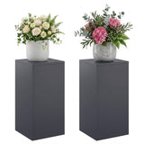 Vidaxl plantenstandaard 2 pcs antraciet 30 x 30 x 60 cm