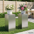 Vidaxl plantenstandaard 2 pcs zilver 30 x 30 x 60 cm staal