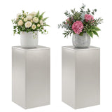 Vidaxl plantenstandaard 2 pcs zilver 30 x 30 x 60 cm staal