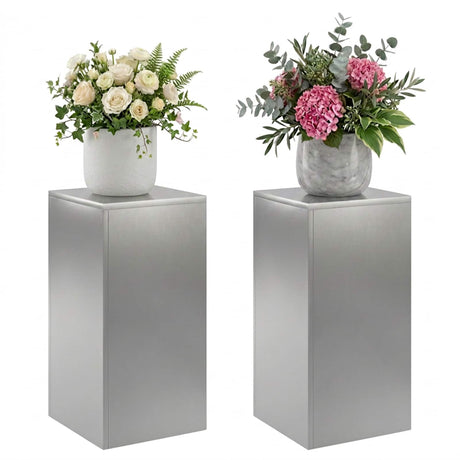 Vidaxl plantenstandaard 2 pcs zilver 30 x 30 x 60 cm roestvrij staal