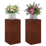 Vidaxl plantenstandaard 2 pcs roestkleurig 30 x 30 x 60 cm