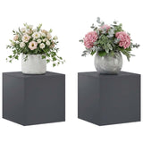 Vidaxl plantenstandaard 2 pcs antraciet 40 x 40 x 40 cm