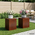 Vidaxl plantenstandaard 2 pcs roestkleurig 40 x 40 x 40 cm