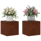 Vidaxl plantenstandaard 2 pcs roestkleurig 40 x 40 x 40 cm