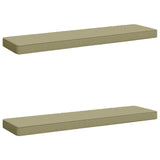 Vidaxl 2-delige bankkussens vught 2 pcs 100% polyester lichtgroen
