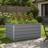 Vidaxl verhoogd tuinbed grijs 100 x 80 x 55 cm koudgewalst staal