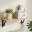 Vidaxl wandplankbeugels 12 st zwart 14 x 14 x 4 cm staal