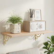 Vidaxl wandplank beugels 12 st antiek wit 12 x 14 x 3 cm staal