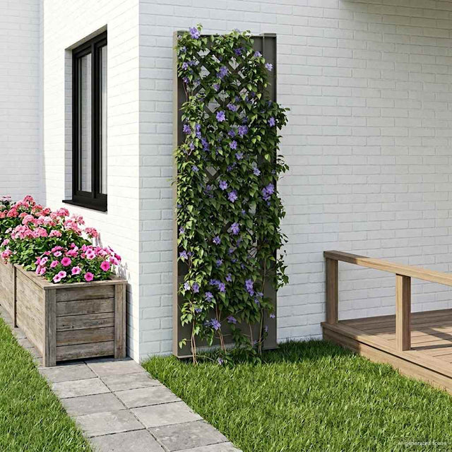 Vidaxl trellis met spike pp grijs