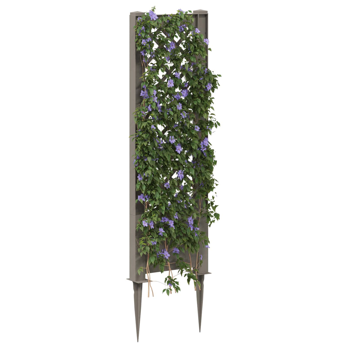 Vidaxl trellis met spike pp grijs