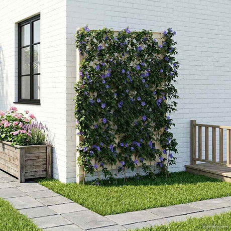 Vidaxl trellis met spike pp wit