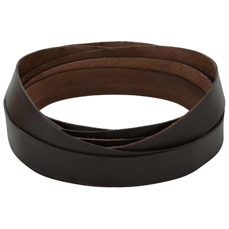 Vidaxl leren riem 1 donkerbruin 500 x 2,5 cm leer