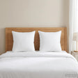 Vidaxl hoofdkussen 2 st 65 x 65 cm australisch wol wit