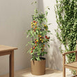 Vidaxl tomatenteler naturo eco ø 39 x 139 cm wpc