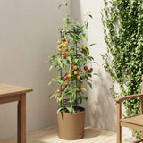 Vidaxl tomatenteler naturo eco ø 39 x 139 cm wpc