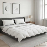 Vidaxl 90% ganzen dons dekbedset fulda 3 st 220 x 240 cm zomer 100 gsm