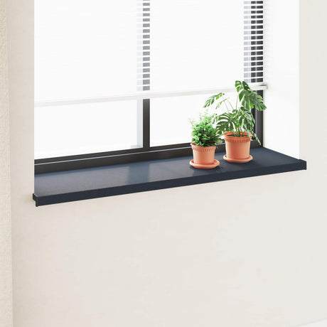 Vidaxl raamsokkel antraciet met houten nerf 160 x 45 x 4,5 cm pvc
