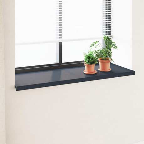 Vidaxl raamsokkel antraciet met houten nerf 160 x 50 x 4,5 cm pvc