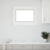 Vidaxl kleur binnenkant kelderraam wit risor 80 x 50 cm
