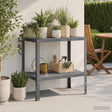 Vidaxl planttafel 60 x 50 x 80 cm gepoedercoat staal antraciet