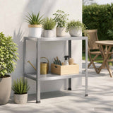 Vidaxl planttafel 60 x 50 x 80 cm gegalvaniseerd staal zilver