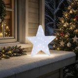 Vidaxl 3d-kerstster 50 led's koel wit 55 x 53,5 x 10 cm