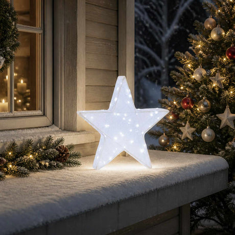 Vidaxl 3d-kerstster 50 led's koel wit 55 x 53,5 x 10 cm