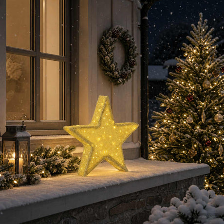 Vidaxl 3d-kerstster 50 led's warmwit 55 x 53,5 x 10 cm