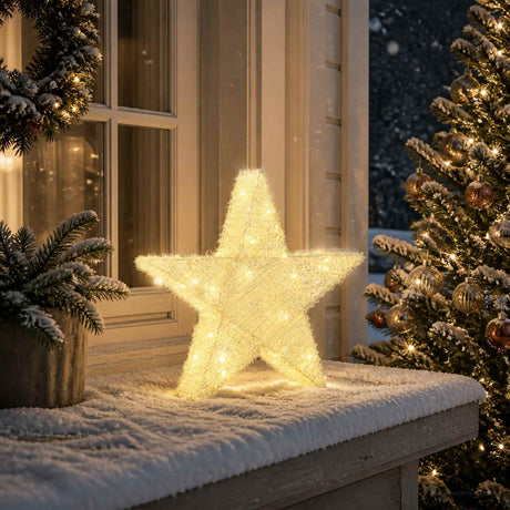 Vidaxl 3d-kerstster 50 led's warmwit 55 x 53,5 x 10 cm