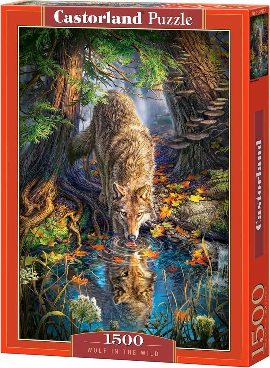 Selecta Castorland Puzzle Wolf in freier Wildbahn, 1500 Teile.