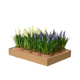 Decoris Kunstpflanze Weintrauben im Topf ø11xh26cm