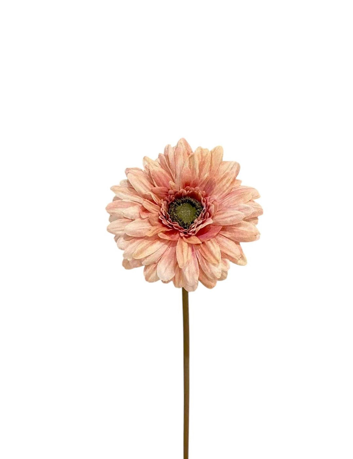 Roberts collection gerbera spray 50cm licht roze