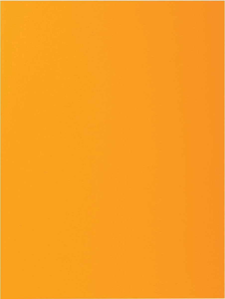 Exacompta Rock''s 80 – Packung mit 100 Einlegemappen 22 x 31 cm für A4 – Ocker – 800026e