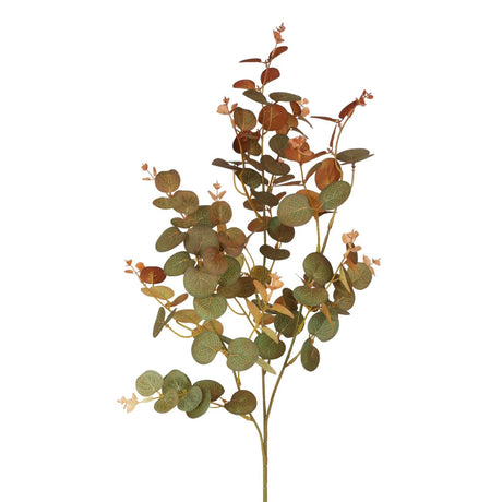 Roberts collection eucalyptus 80cm groen coffee