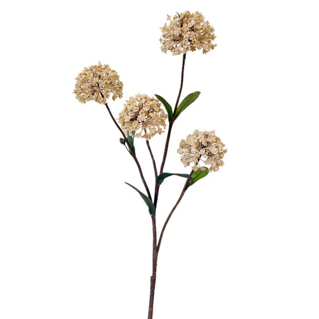 Roberts collection snowball 66cm coffee