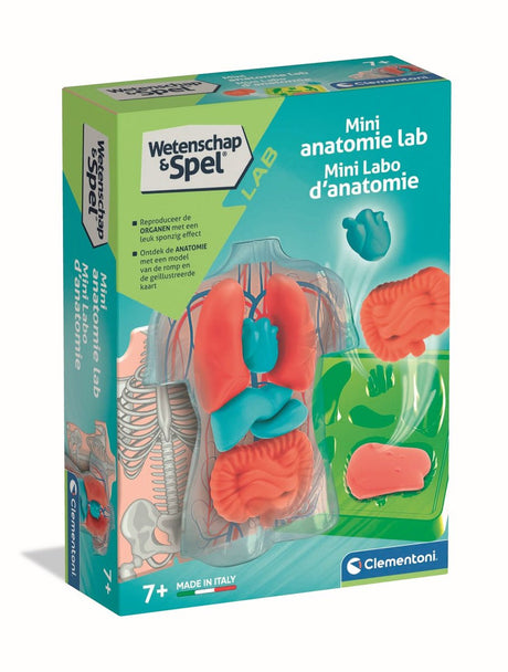 Clementoni-Wissenschaftsspiel – matschige Anatomie