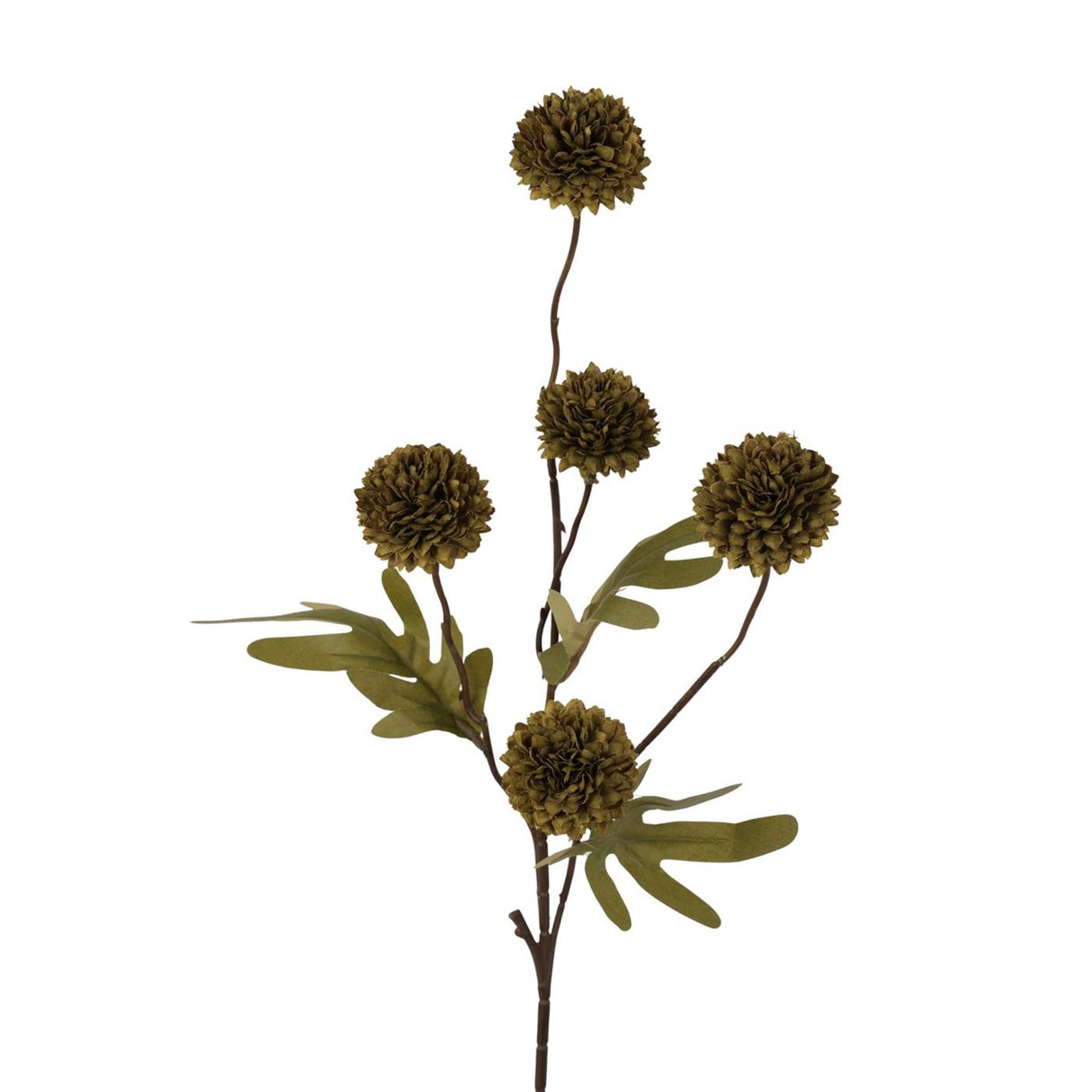 Roberts Collection Kunstblumen-Pompom-Zweig, 52 cm, dunkelgrün