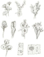 Kreativunternehmen https: www.cchobby.nl masking-tape-stickers-black-white-flowers-size-30-50-mm-30-piece-1-box
