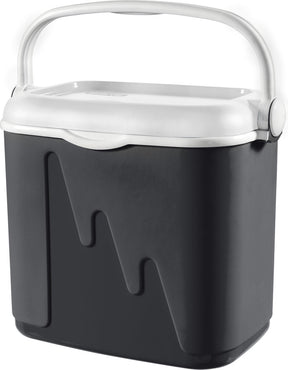 Curver Kühlbox - 32l - Anthrazit
