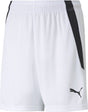 Puma Teamliga Shorts Jr. 164
