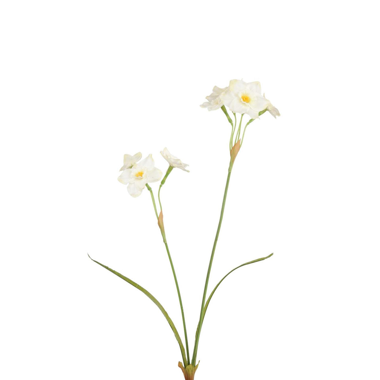 Roberts collection kunstbloem paperwhite wit 58cm bundel van 2