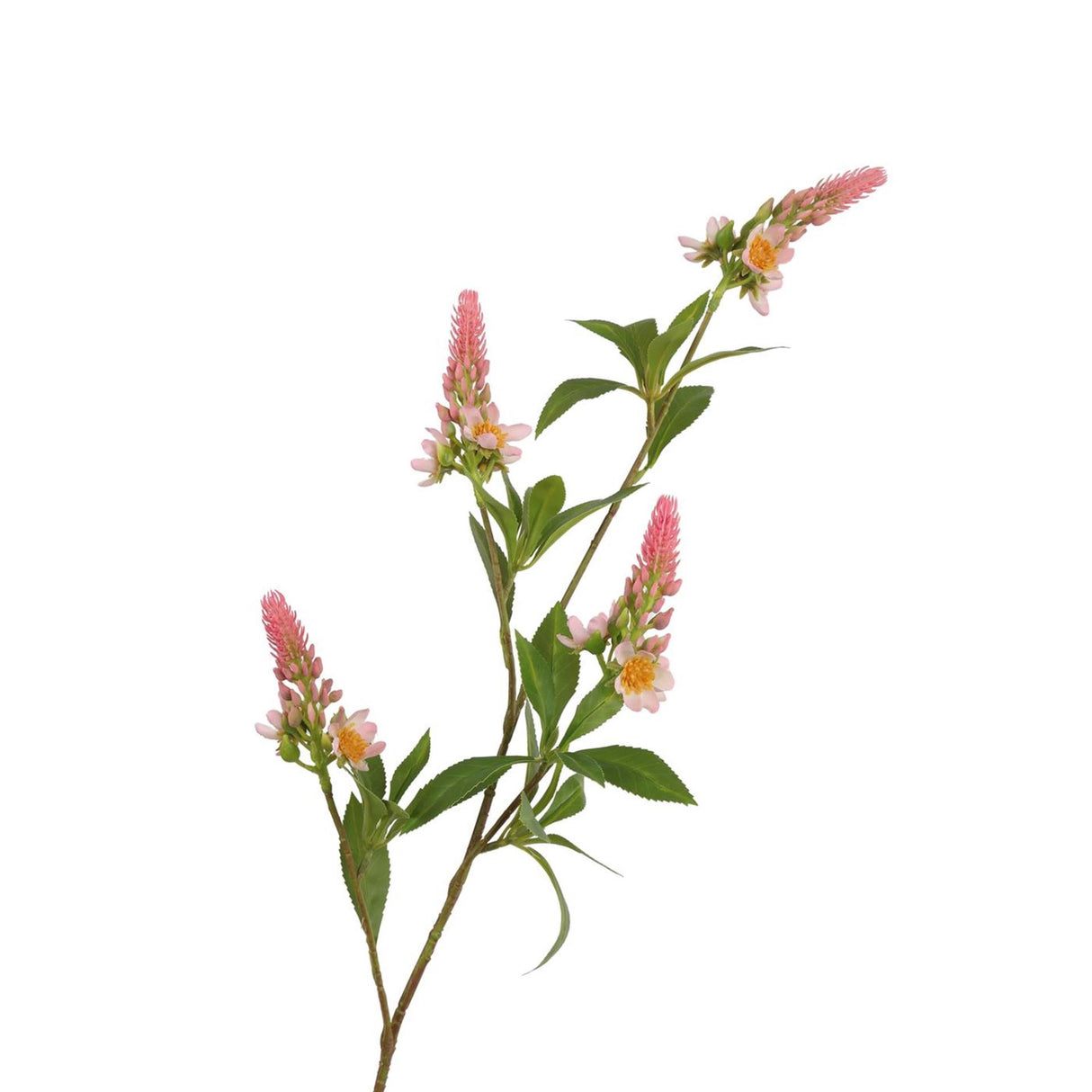 Roberts collection kunsttak pachystachys roze 95cm